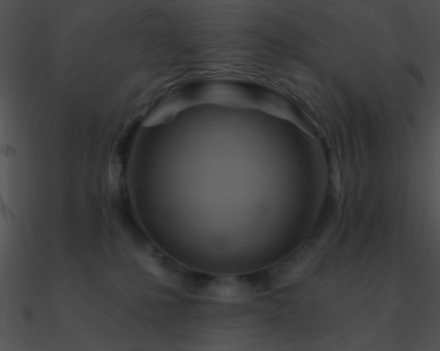 X0000090970231200708021444