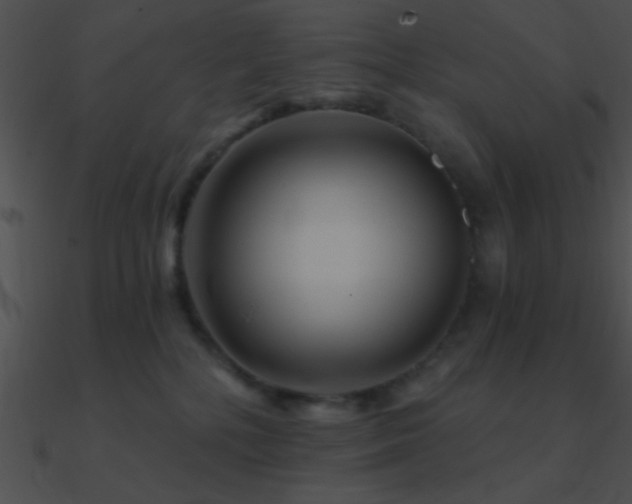 X0000090970232200708021444