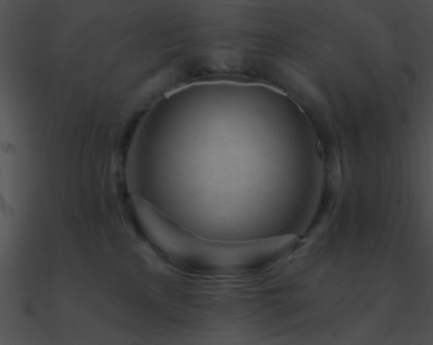 X0000090970233200708021444