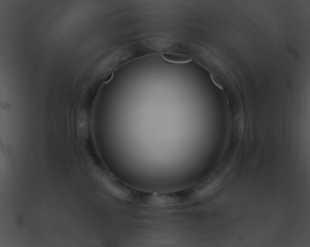 X0000090970234200708021444