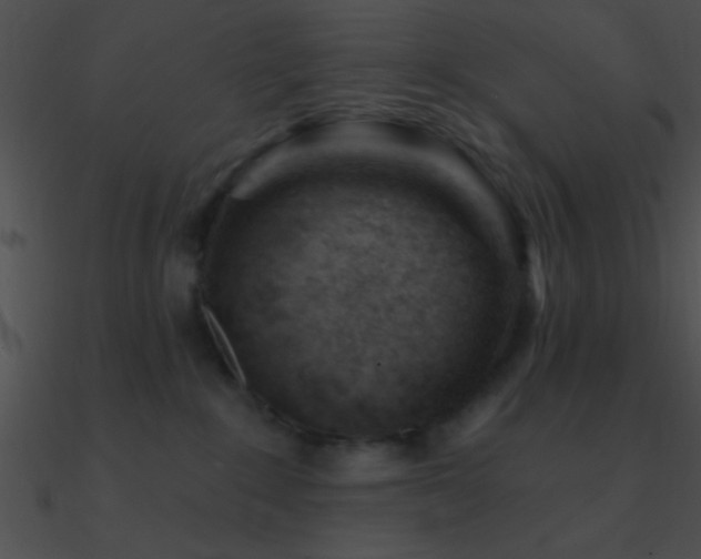 X0000090970235200708021444