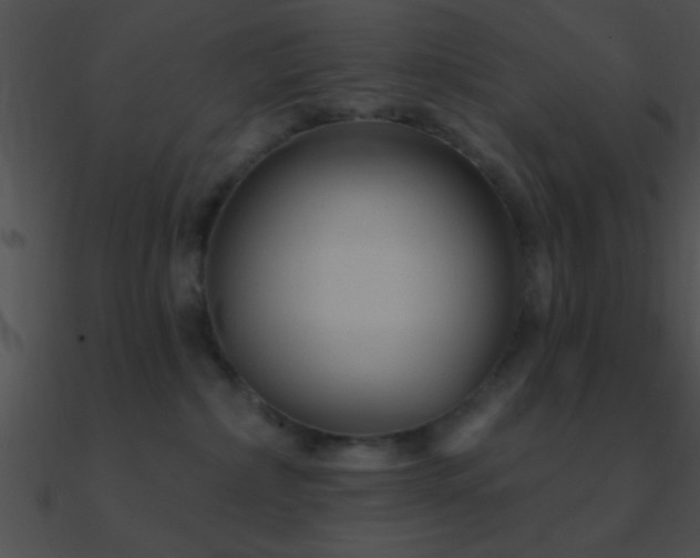 X0000090970236200708021444