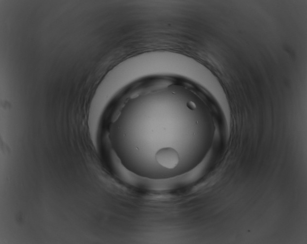 X0000090970237200708021444