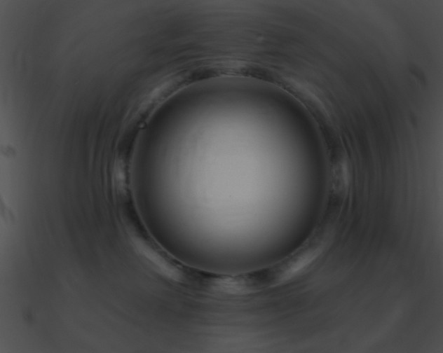 X0000090970238200708021444