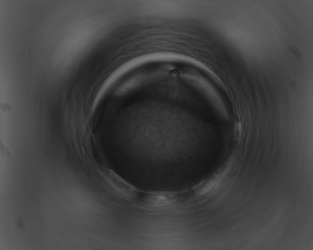 X0000090970239200708021444