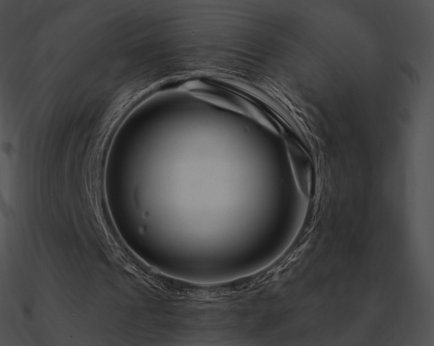 X0000090970241200708021443