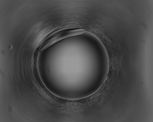 X0000090970242200708021443