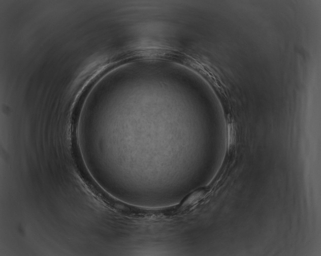 X0000090970243200708021443