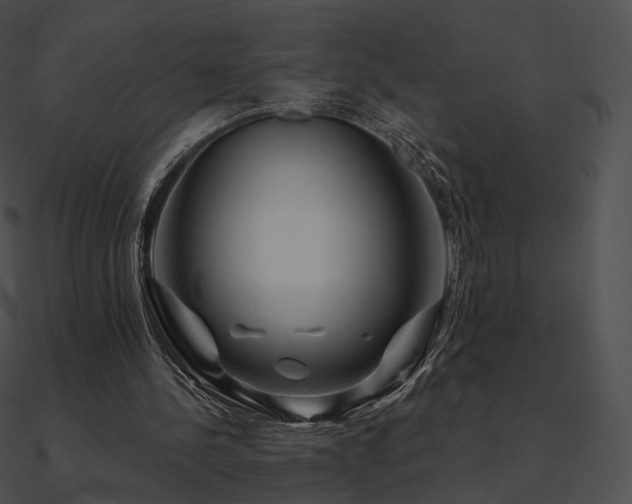 X0000090970244200708021443