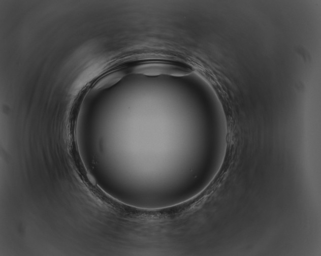 X0000090970245200708021443