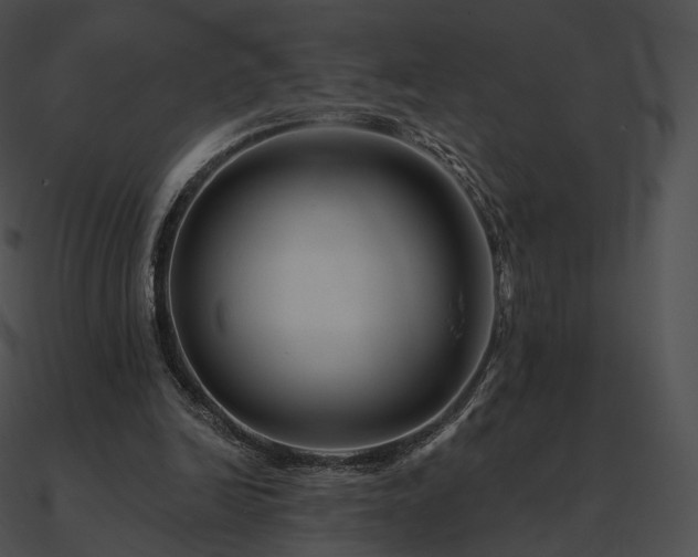 X0000090970246200708021443