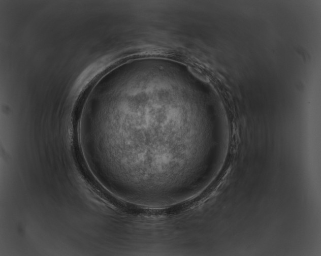 X0000090970247200708021443