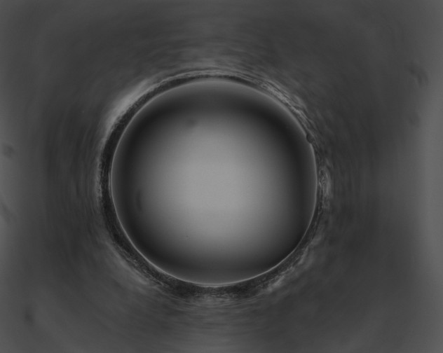 X0000090970248200708021443