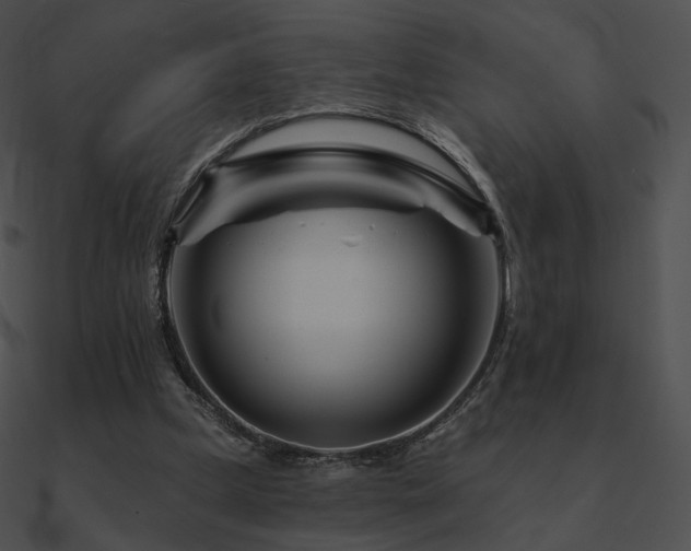 X0000090970249200708021443