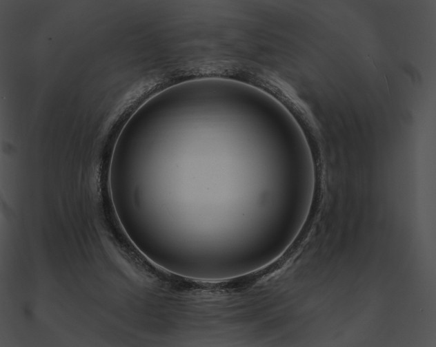 X0000090970250200708021443