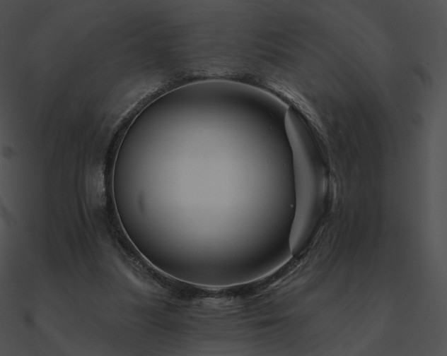 X0000090970251200708021443