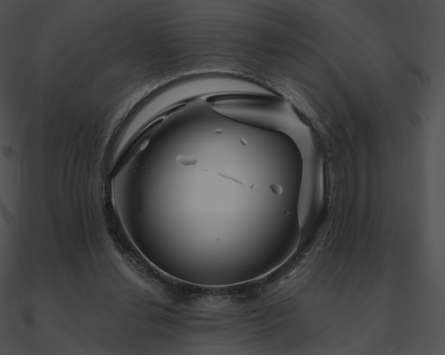 X0000090970252200708021443