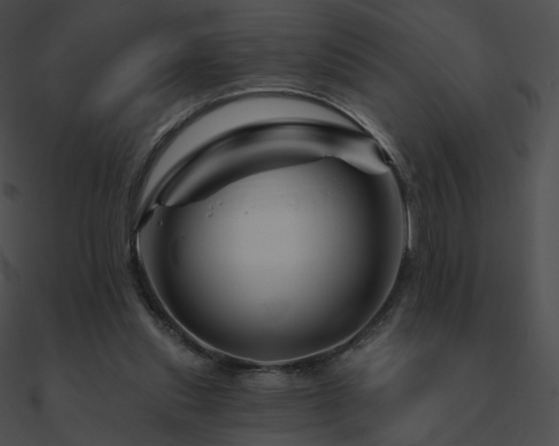 X0000090970253200708021444