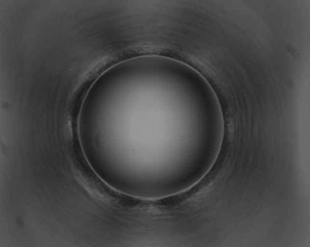 X0000090970254200708021444