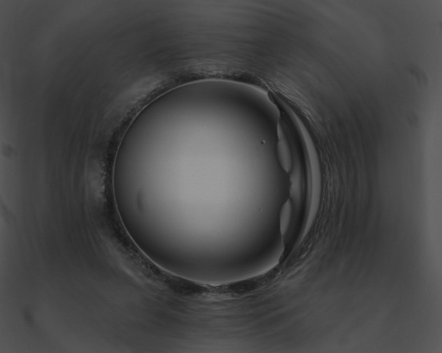 X0000090970255200708021444