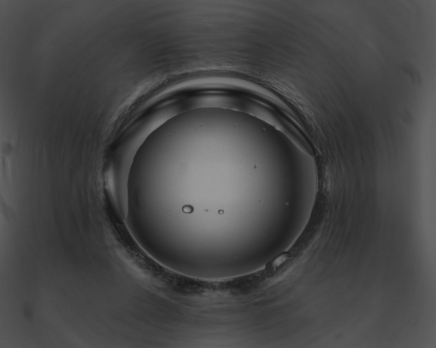 X0000090970256200708021444