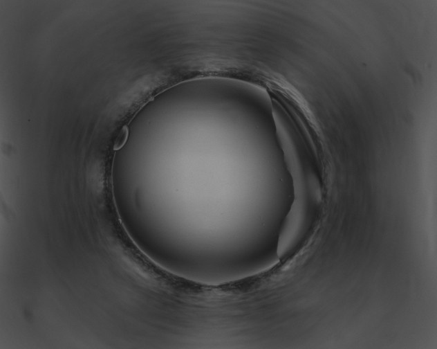 X0000090970257200708021444