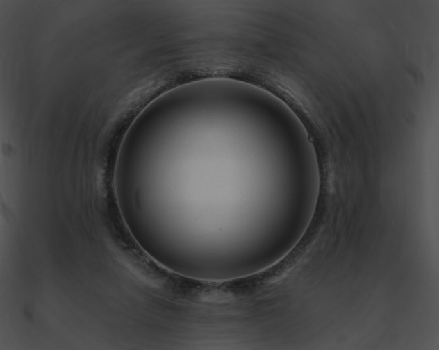 X0000090970258200708021444