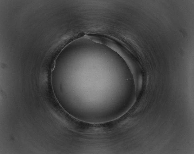 X0000090970260200708021444