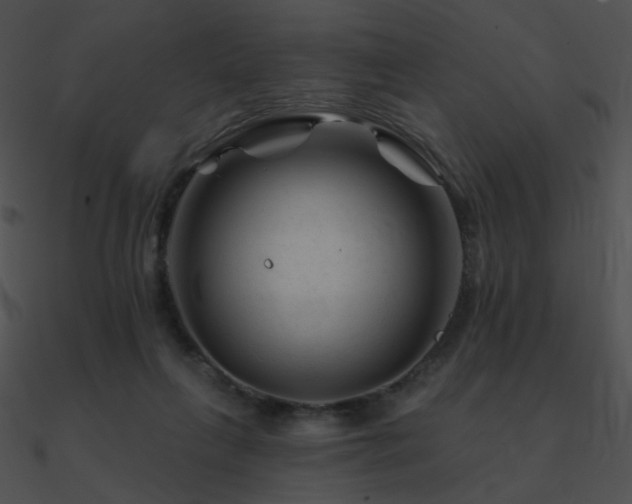 X0000090970263200708021444