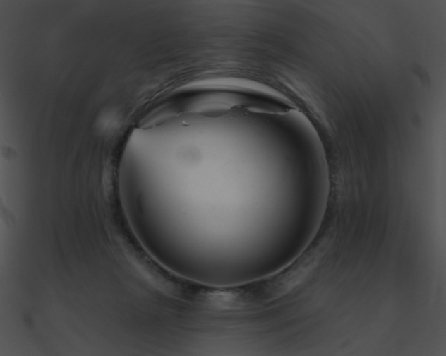 X0000090970265200708021444