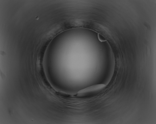 X0000090970267200708021444