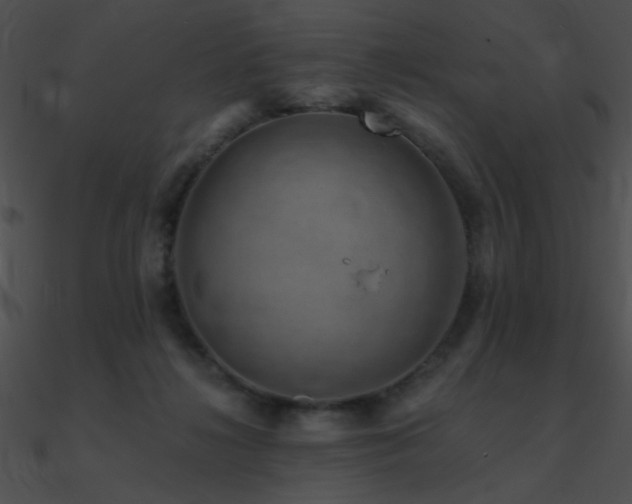 X0000090970268200708021444