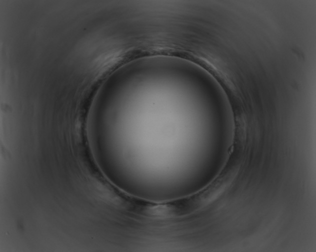 X0000090970269200708021444