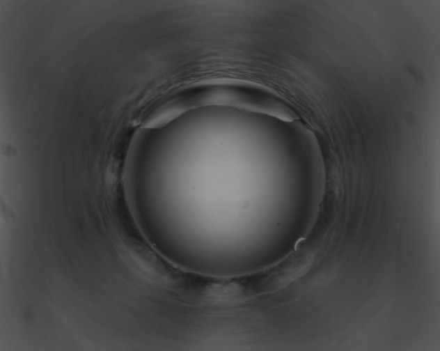 X0000090970271200708021444