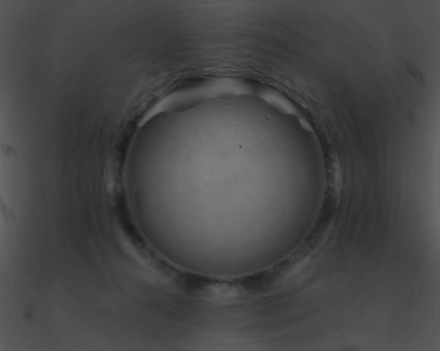 X0000090970272200708021444