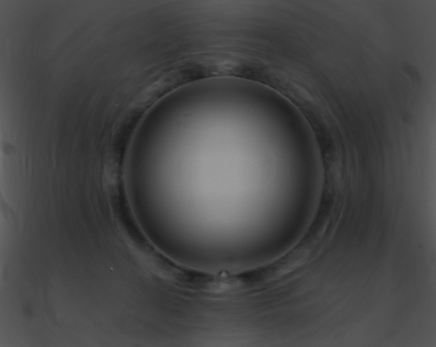 X0000090970274200708021444