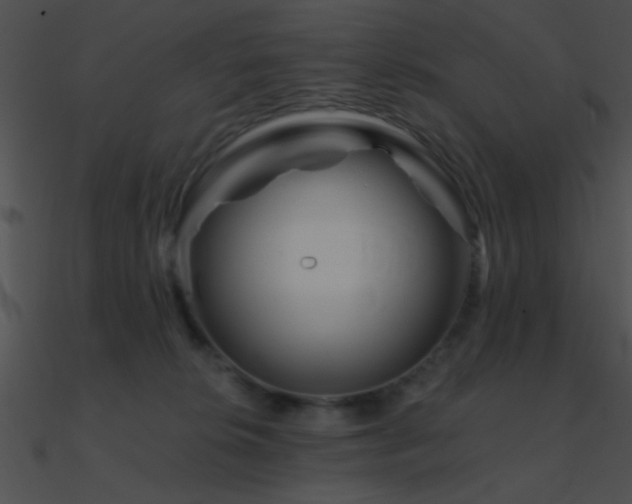 X0000090970276200708021444