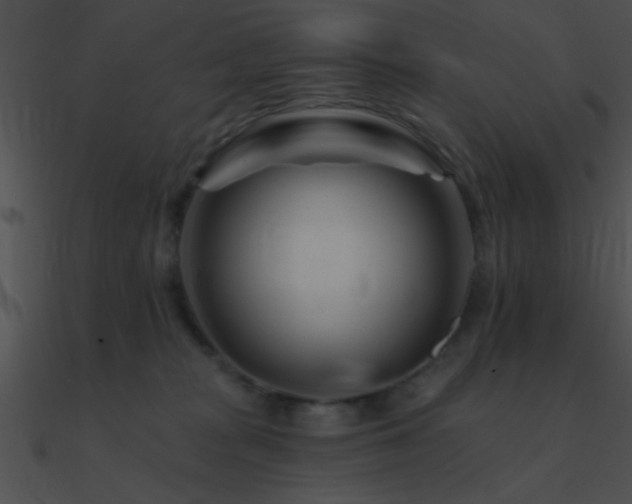 X0000090970277200708021444