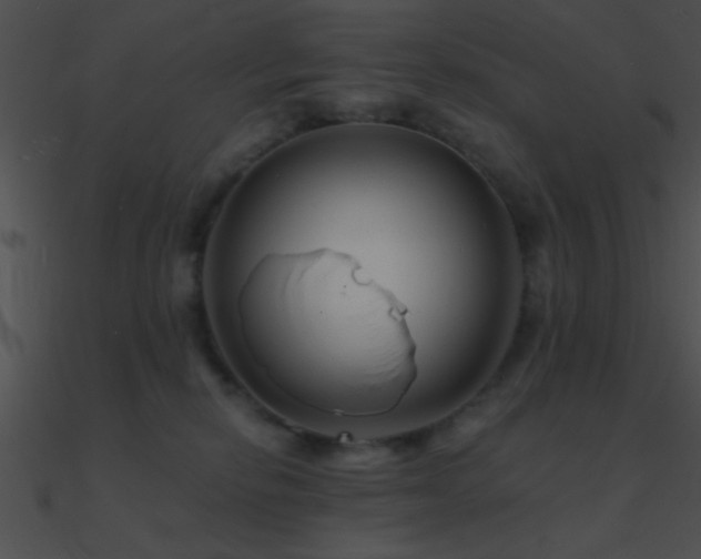 X0000090970278200708021444