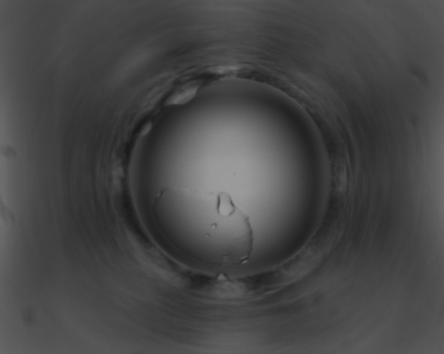 X0000090970279200708021444