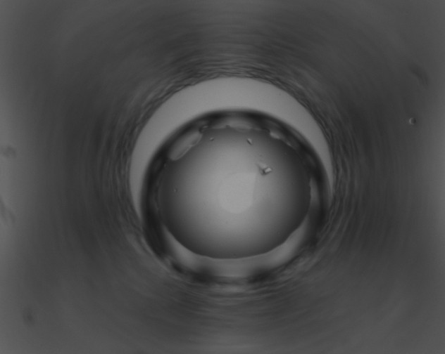 X0000090970280200708021444