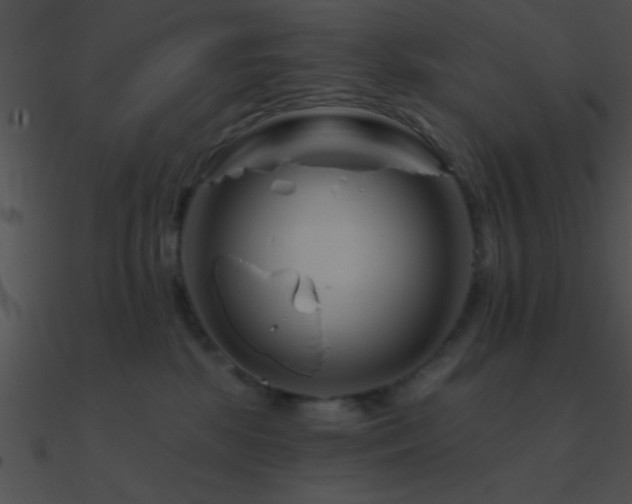 X0000090970281200708021444