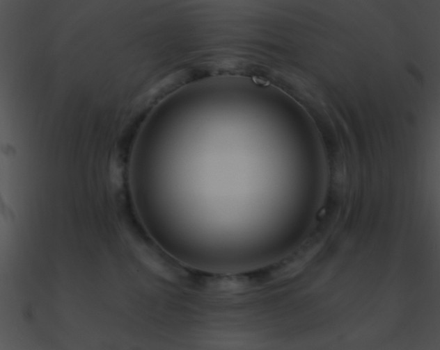 X0000090970282200708021444