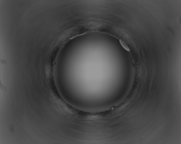 X0000090970283200708021444