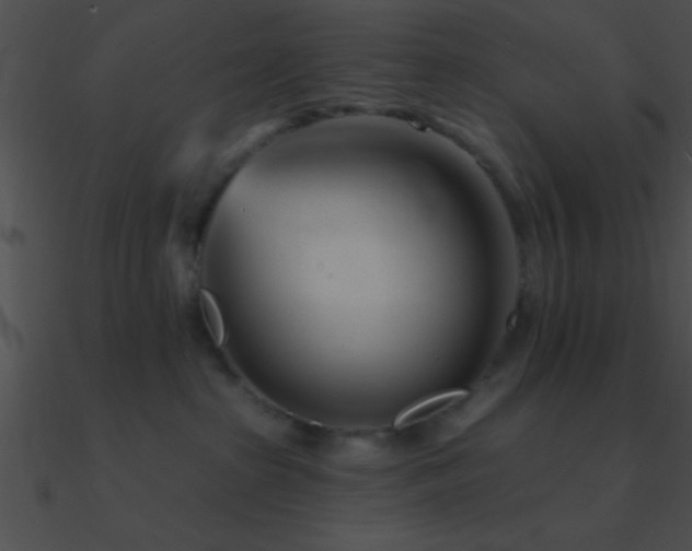 X0000090970285200708021444