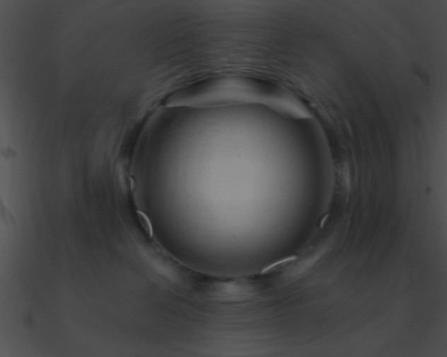 X0000090970286200708021444