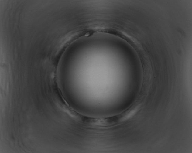 X0000090970288200708021444