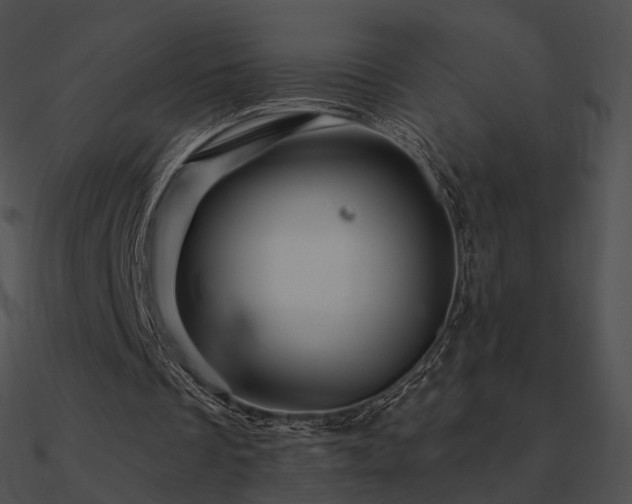 X0000090970289200708021443