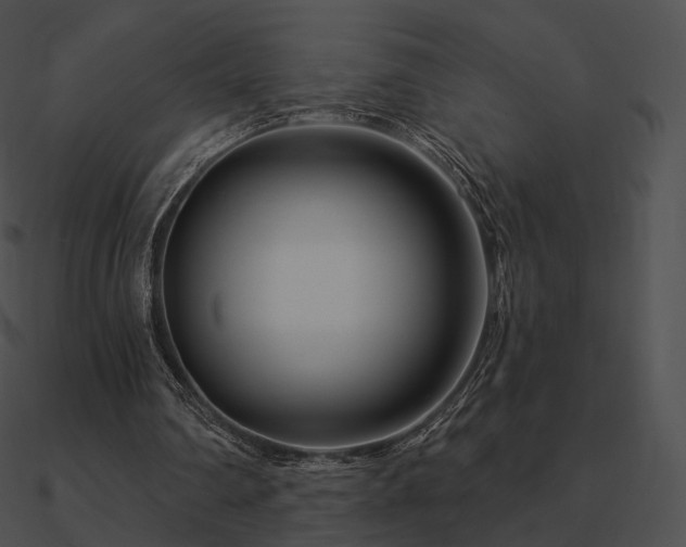 X0000090970290200708021443