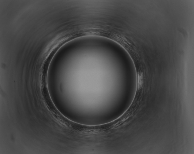 X0000090970291200708021443